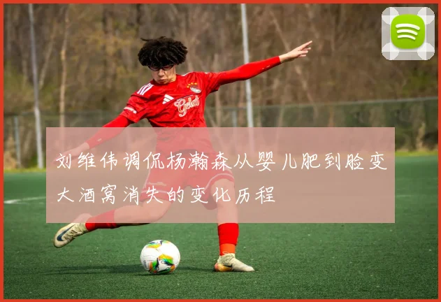 刘维伟调侃杨瀚森从婴儿肥到脸变大酒窝消失的变化历程