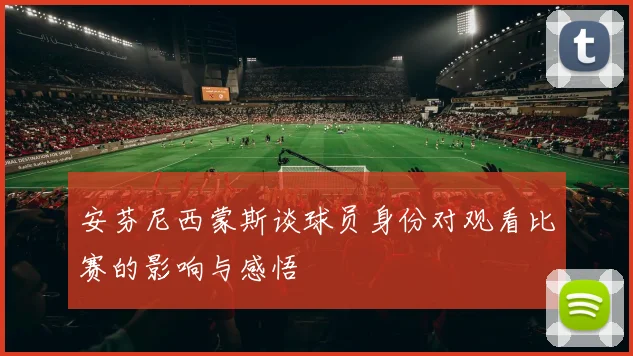 安芬尼西蒙斯谈球员身份对观看比赛的影响与感悟