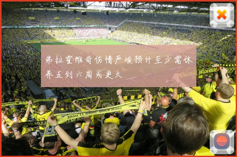 弗拉霍维奇伤情严峻预计至少需休养五到六周或更久