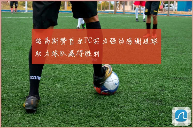路易斯赞首尔FC实力强劲感谢进球助力球队赢得胜利