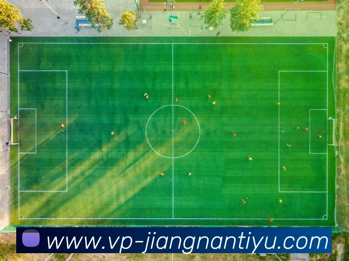 江南体育平台生态图