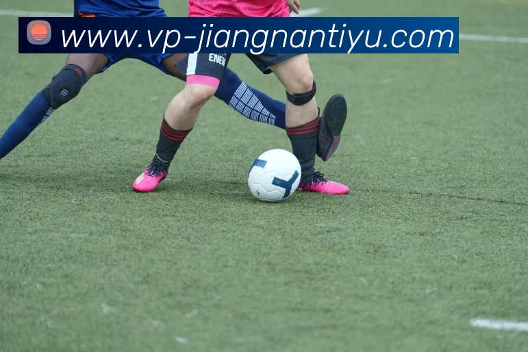 江南体育APP 封面图